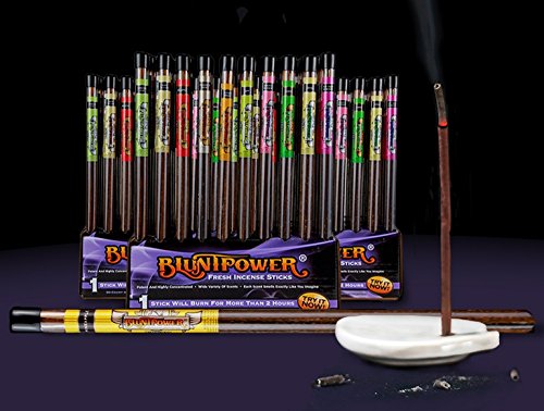 Blunt Power BluntPower Air Freshener Fresh Incense Sticks Assorted Scents (6ct Pack of 10) - Bulk Packing, No Cardboard Display