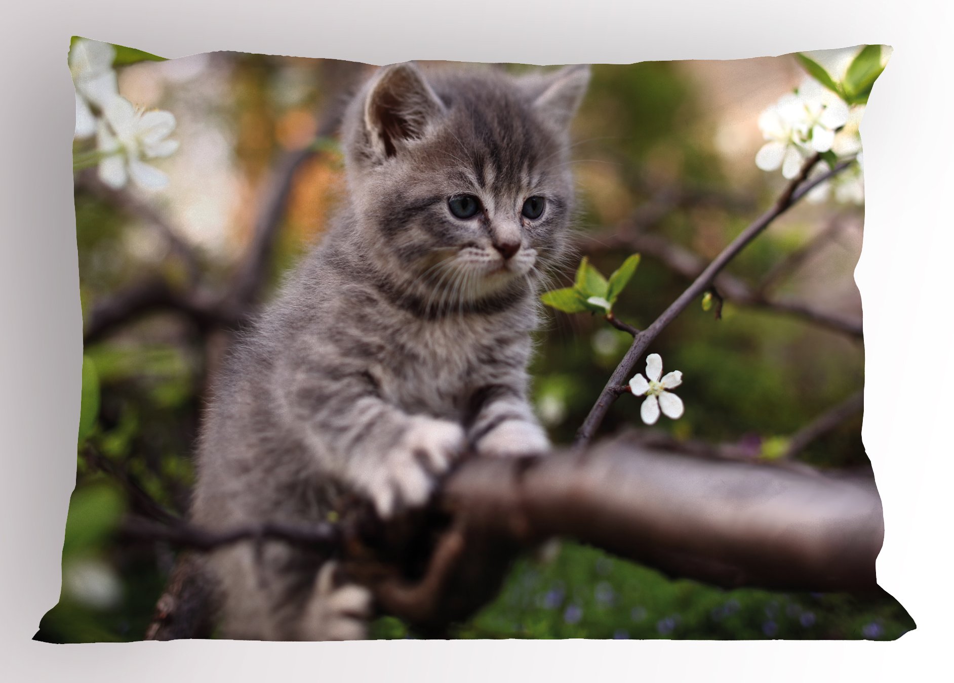 Lunarable cartoon Pillow Sham, Kitty on Blossoming Tree Branch Young Furry Feline cat Kitten, Decorative Standard Size Printed P
