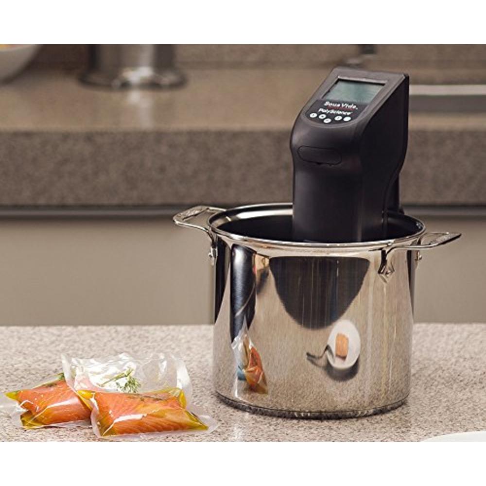 Breville Polyscience PolyScience Culinary CREATIVE Series Sous Vide Immersion Circulator, black