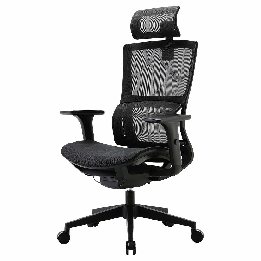 XUER Ergonomic Office Chair with Cozy Lumbar Support and Adjustable 3D Armrest, Computer Desk Chair with Mesh Seat and High Back