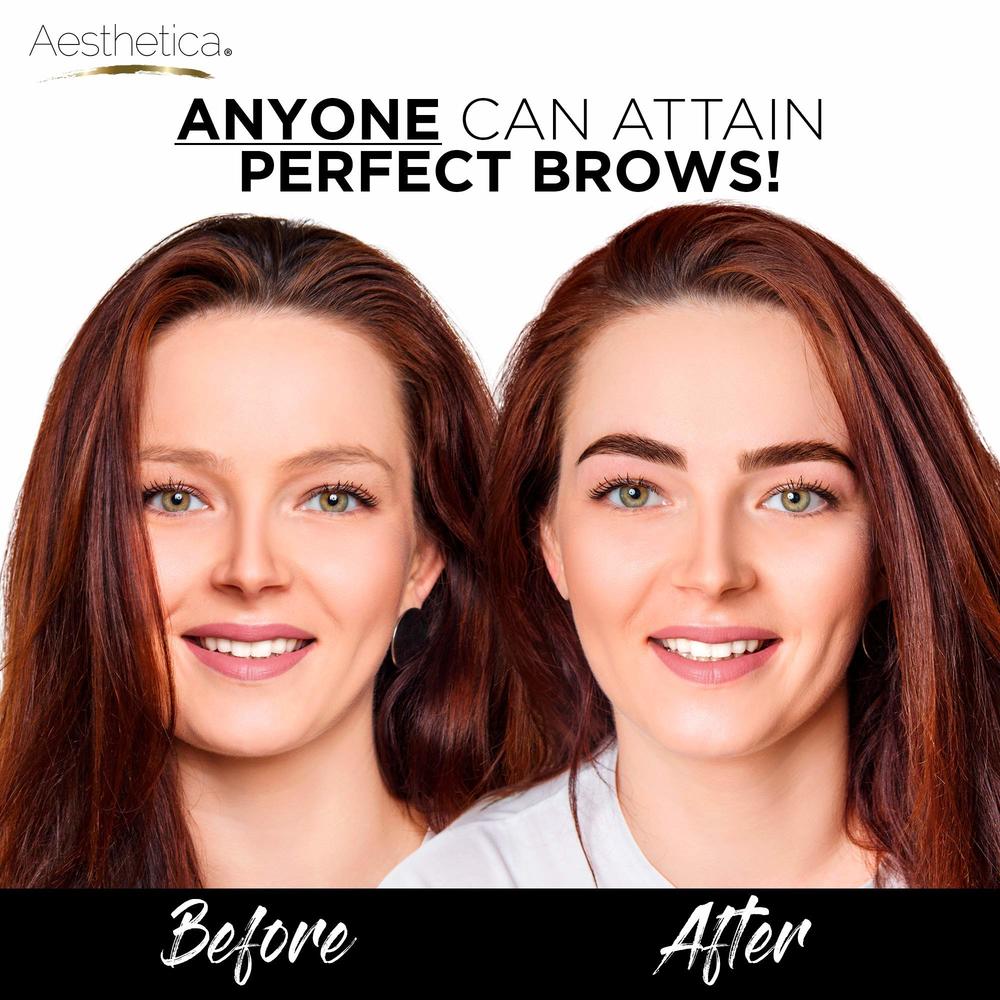 Aesthetica Brow Contour Kit 16-Piece Eyebrow Makeup Palette Set 6 Eyebrow Powders, 5 Eyebrow Stencils, Spoolie/Brush Duo, Tweeze