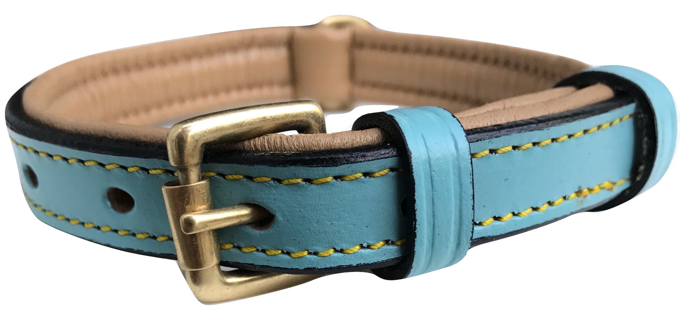 Soft Touch collars Small Leather Padded Dog collar, Turquoise with Beige Padding,16 Long x 58 Wide, Neck Size 11 to 135