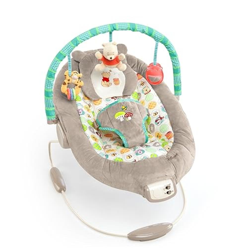 Bright Starts Disney Baby Winnie the Pooh Baby Bouncer Soothing Vibrations Deluxe Infant Seat - Faux Suede, Music, Removable -To