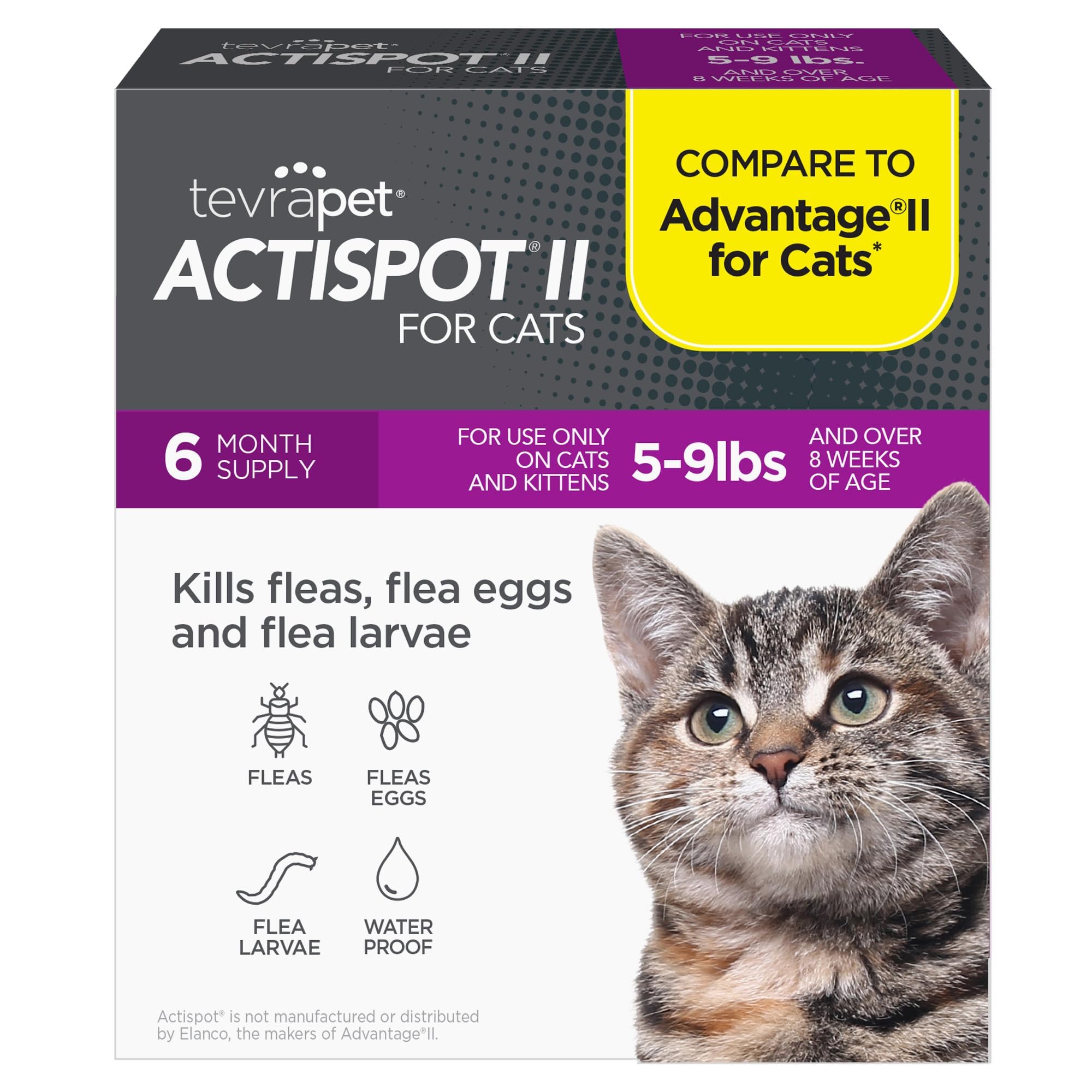 TevraPet Actispot II Flea Treatment for Small and Medium Cats 5-9 lbs | 6 Doses | Powerful Prevention and Control, Clear