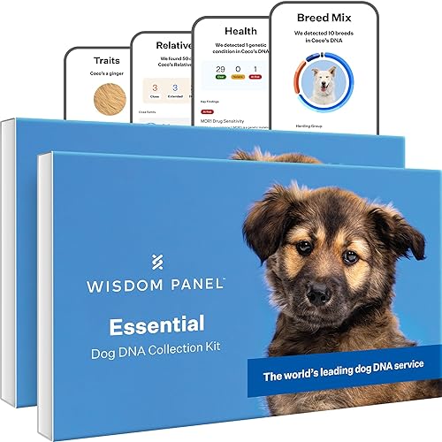 Wisdom Health Wisdom Panel Essential Dog DNA Kit: Most Accurate Test for 365+ Breeds, 30 Genetic Health Conditions, 50+ Traits, Relatives, Anc
