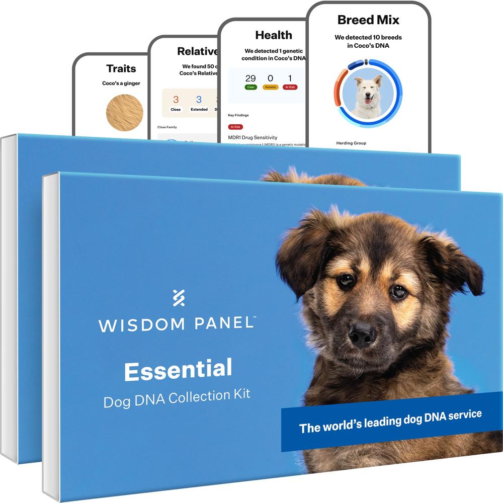 Wisdom Health Wisdom Panel Essential Dog DNA Kit: Most Accurate Test for 365+ Breeds, 30 Genetic Health Conditions, 50+ Traits, Relatives, Anc