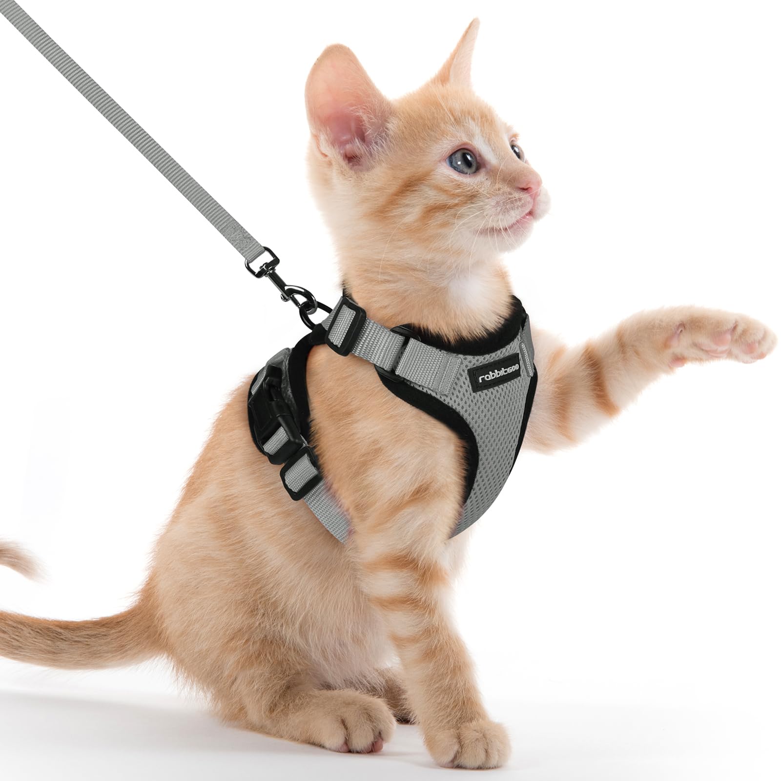 Rabbitgoo rabbitgoo Cat Harness and Leash for Walking, Escape Proof Soft  Adjustable Vest Harnesses for Cats, Easy Control Breathable Refle