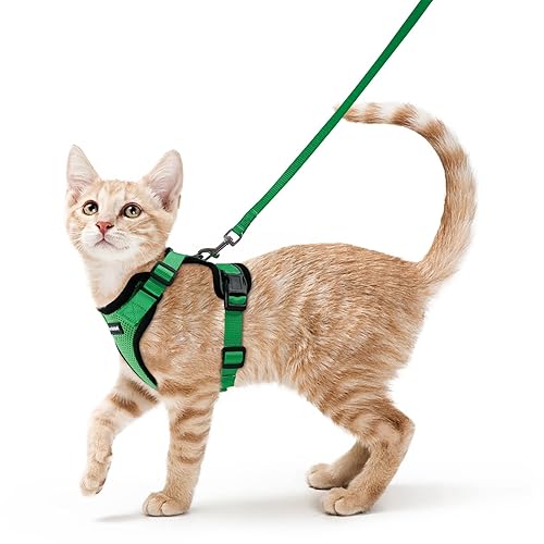 2 leather dog leash Blushwood Leather Dog Leash