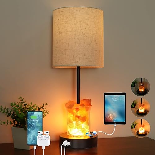 ZJOJO Table Lamp with Himalayan Salt Lamp, Bedside Lamps with USB C and A Ports, 3 Way Dimmable Salt Lamp with AC Outlet- Touch 