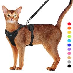 BingPet Cat Harness With Leash And Collar For Walking Escape