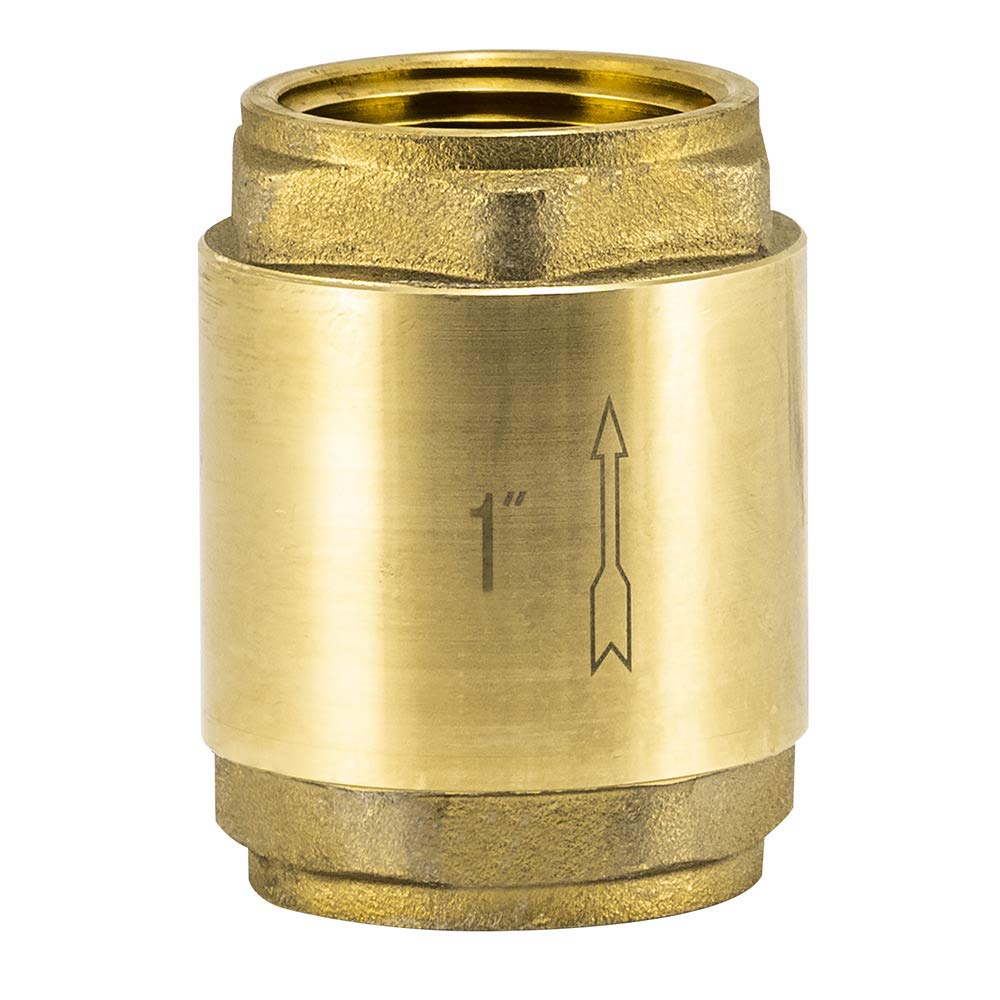 Eastman Brass In-Line Check Valve, 1 Inch IPS, Stainless Steel Spring, 20405LF
