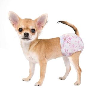 Amazon Dog Period Diapers Female Dog Diapers Reusable Yeory 4Pcs