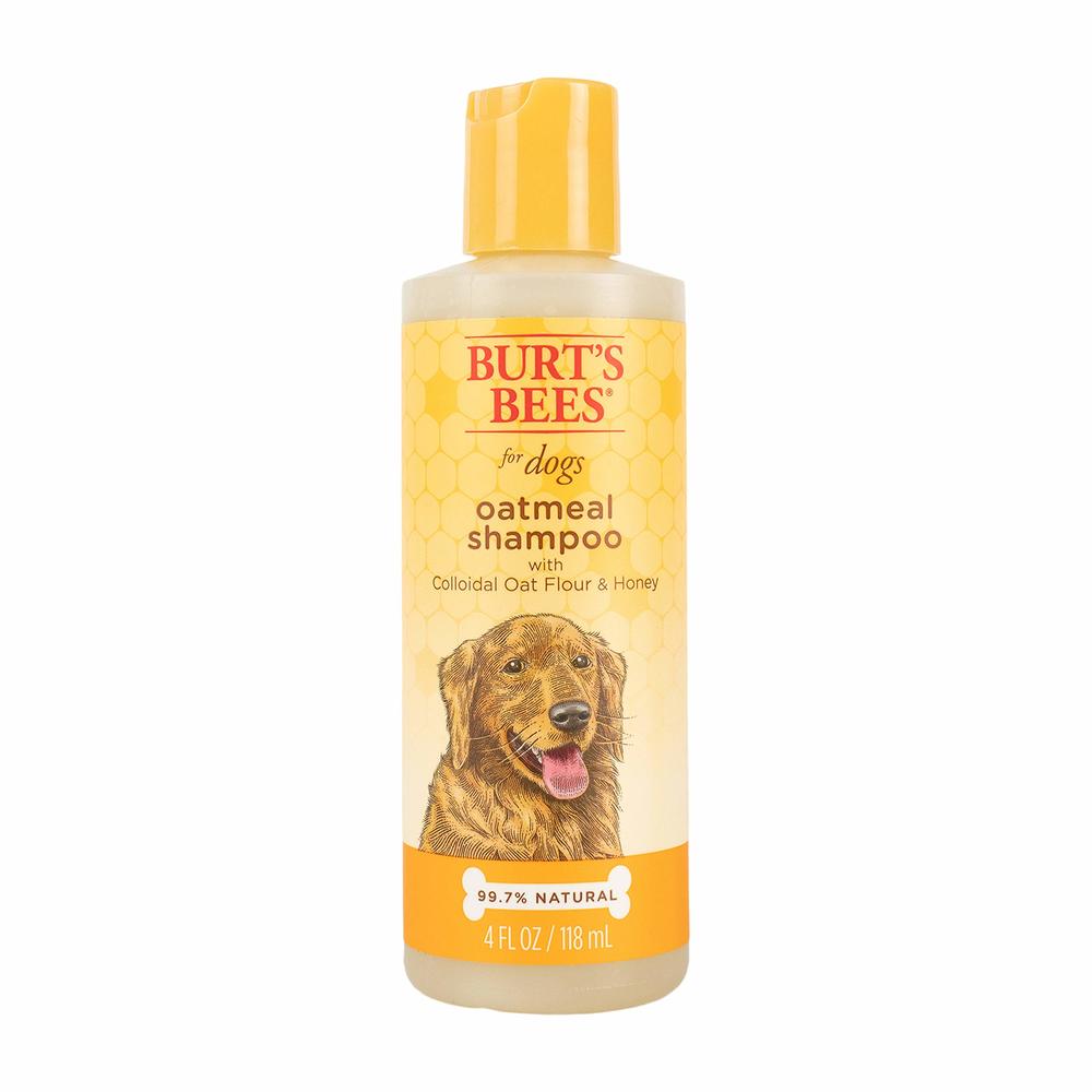 Burt's Bees for Pets Natural Oatmeal Shampoo with Colloidal Oat Flour and Honey| Oatmeal Dog Shampoo, 4 Ounce Dog Shampoo to Soo