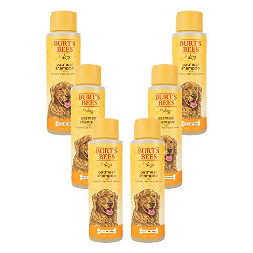 Burt's Bees for Pets Natural Oatmeal Dog Shampoo | With Colloidal Oat Flour & Honey | Cruelty Free, Sulfate & Paraben Free, pH B