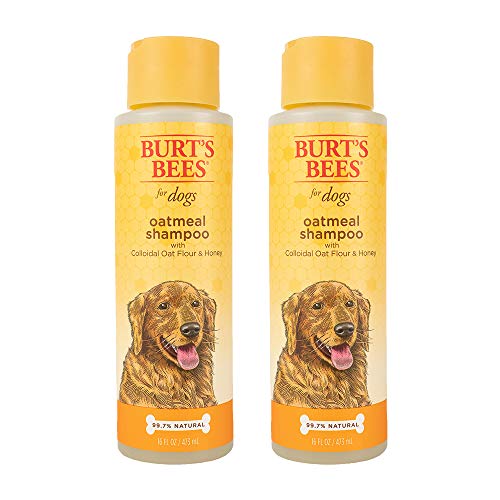 Burt's Bees for Pets Natural Oatmeal Dog Shampoo | with Colloidal Oat Flour & Honey | Cruelty Free, Sulfate & Paraben Free, pH B