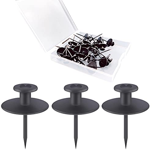 Hoaisun 30 PCS Push Pins Picture Hanger Hooks Decorative Nails, Double  Headed Thumb Tacks for Wall Hangings, Renter Friendly Decor Small