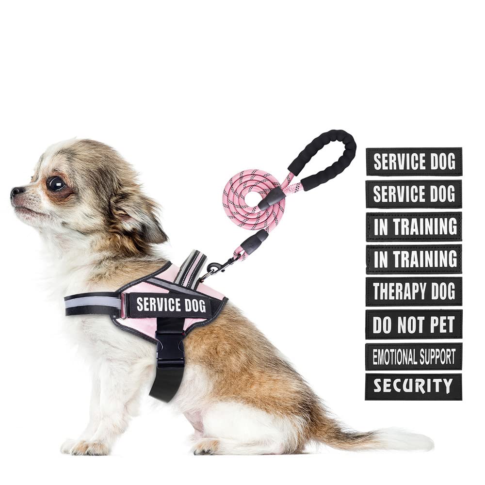 Service Dog Vest Harness and Leash Set, Animire in Training Dog Harness  with 8 Dog Patches, Reflective Dog Leash with Soft Padde