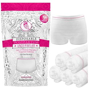 Ninja Mama Disposable Postpartum Underwear (Without Pad) with Storage  Pouch. Washable Mesh Panties for Women (5