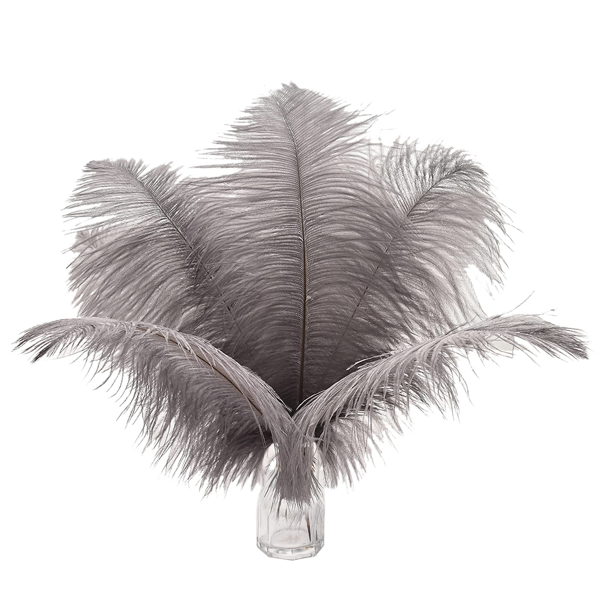 Ballinger Gray Ostrich Feathers Bulk - 12Pcs 12-14inch Natural