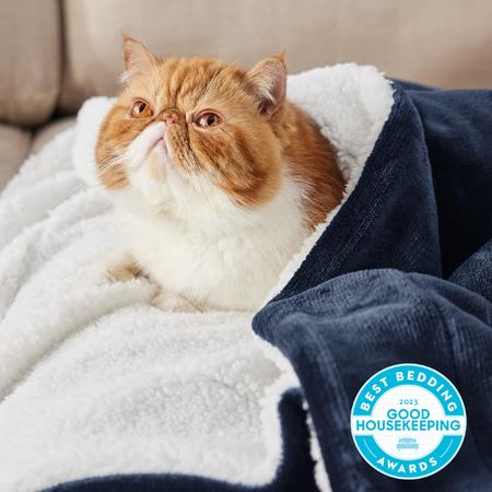 Sofa Sectional Lomao Sherpa Fleece Blanket Bedsure Sherpa Fleece