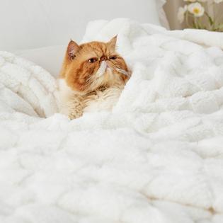 Bedsure White Bed Blanket Bedsure White Fleece Blanket For