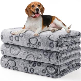 luciphia Luciphia Pack Blankets Fluffy Premium Fleece Pet