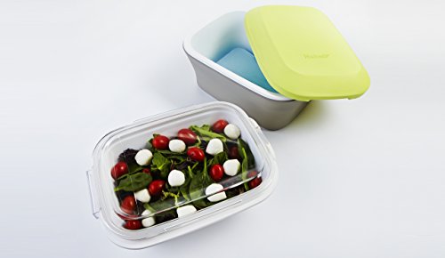 Fit Fresh Gatherings Go Side Insulated Food Saver Server Fit Fresh Gatherings Go Side Insulated Food Saver Server 4