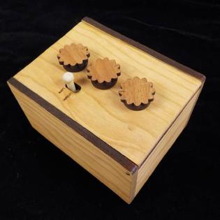 Creative Crafthouse Secret Lock Puzzle Box Ii Brain Teaser Can You Open The Box Put A Gift Inside And Watch The Fun Cherry Version Toys Games Puzzles Brain Teasers