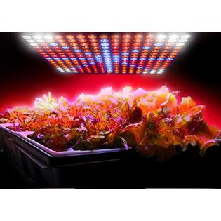 hqrp high power 225 led grow light panel red orange 225 blue red orange white led plant grow light panel