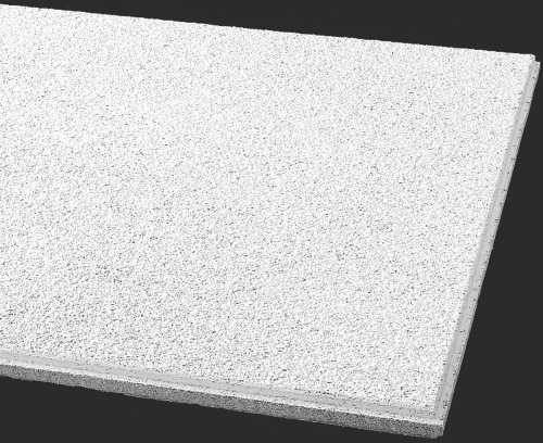 Armstrong World Armstrong Acoustical Ceiling Tile 589b
