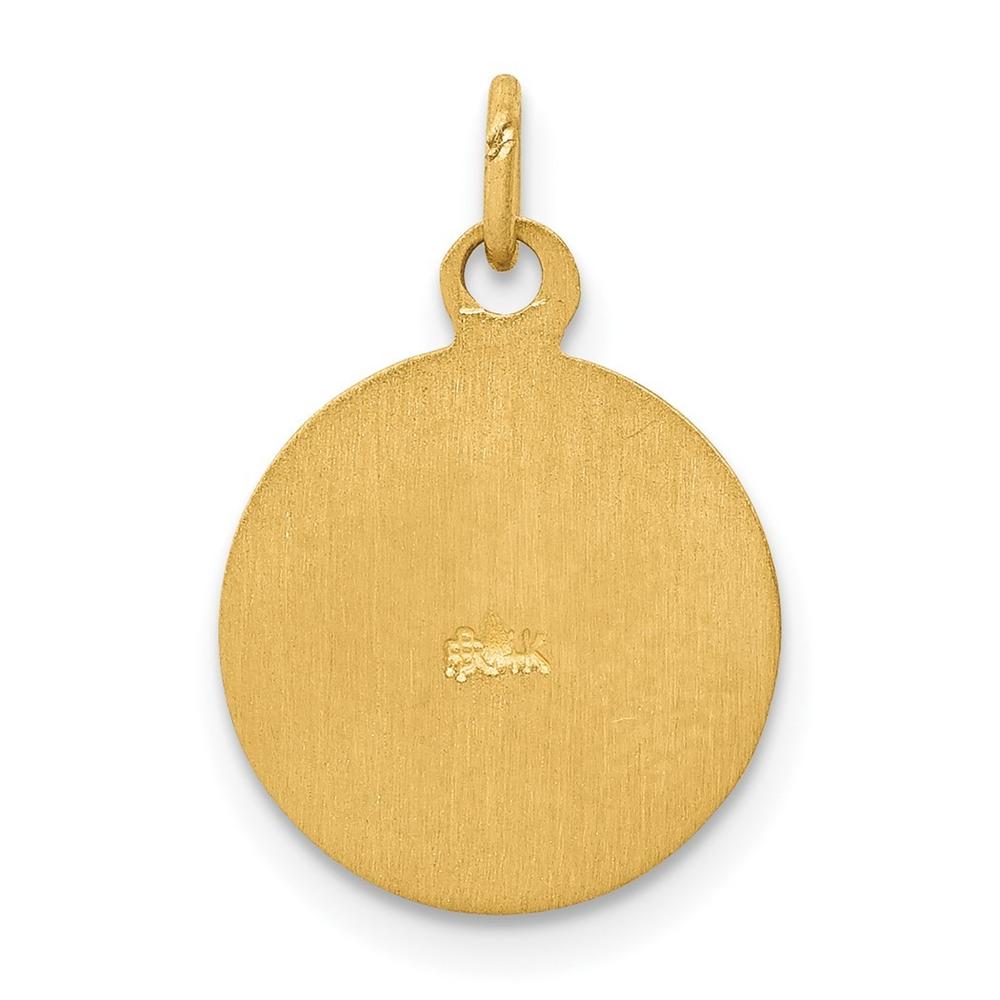 Jewelryweb 14k Yellow Gold Saint Patrick Medal Charm - Measures 11.9x19.6mm