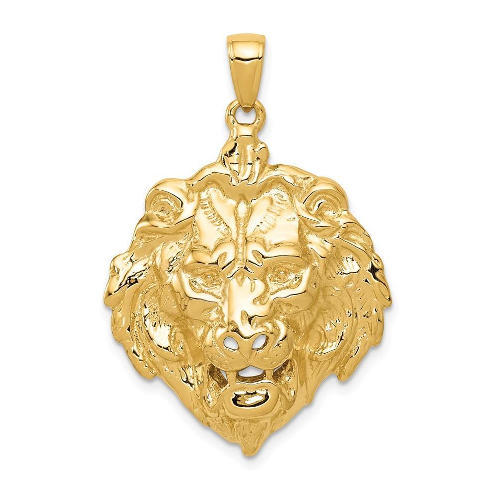Jewelryweb 24mm 14k Lion Charm