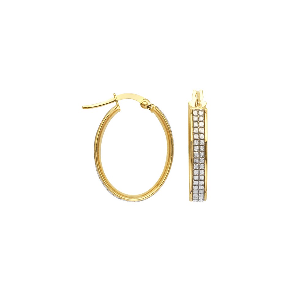 Jewelryweb 10k Yellow Gold Sparkle Oval 2row Glitter Hoop Earrings