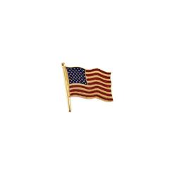 Jewelryweb 14k Yellow Gold American Flag Lapel Pin 14.5x14mm Color