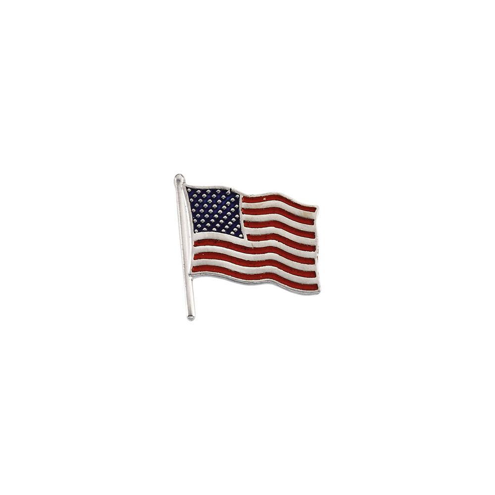 Jewelryweb 14k White Gold American Flag Lapel Pin 17.5x17mm Color