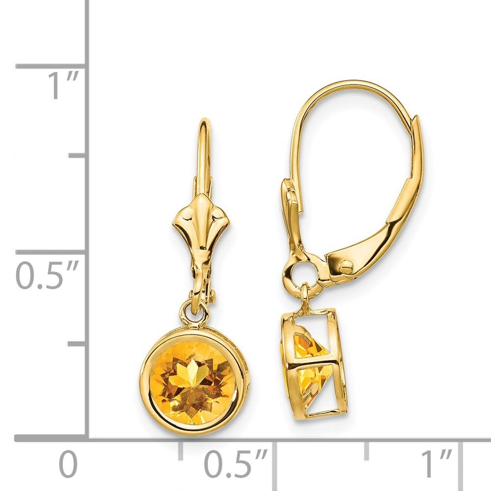 Jewelryweb 14k Yellow Gold 6mm Citrine Leverback Earrings - Measures 25x7mm Wide