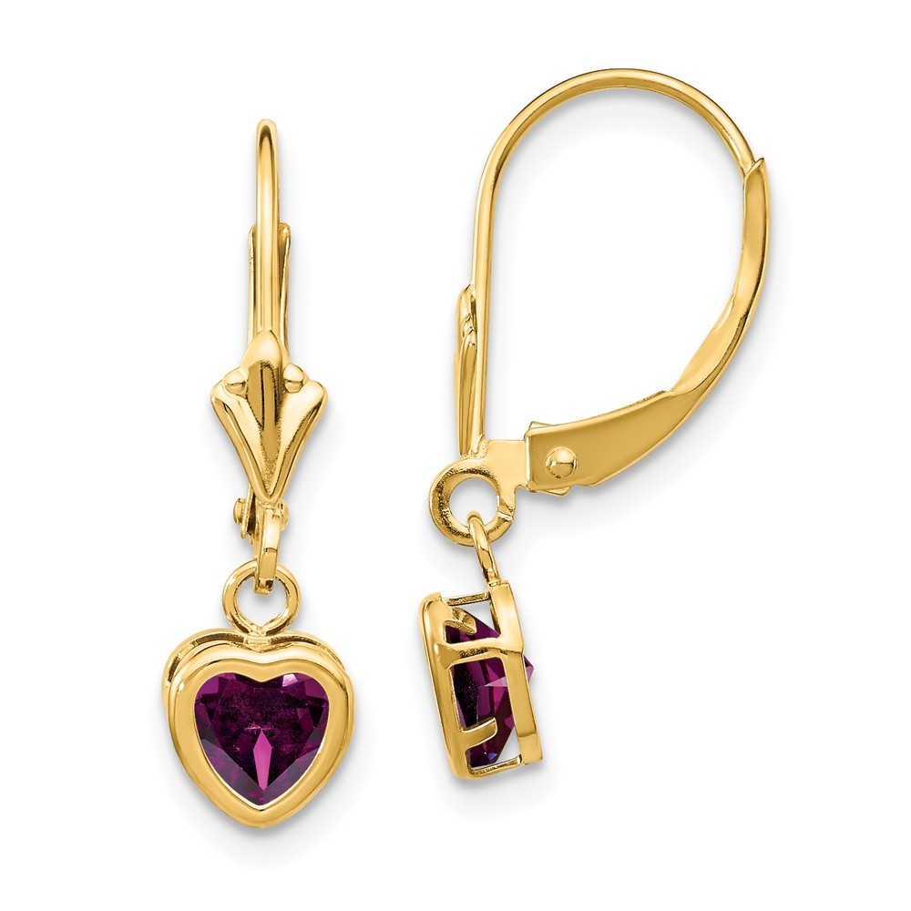 Jewelryweb 14k Yellow Gold 5mm Heart Rhodalite Garnet Earrings - Measures 23x6mm Wide