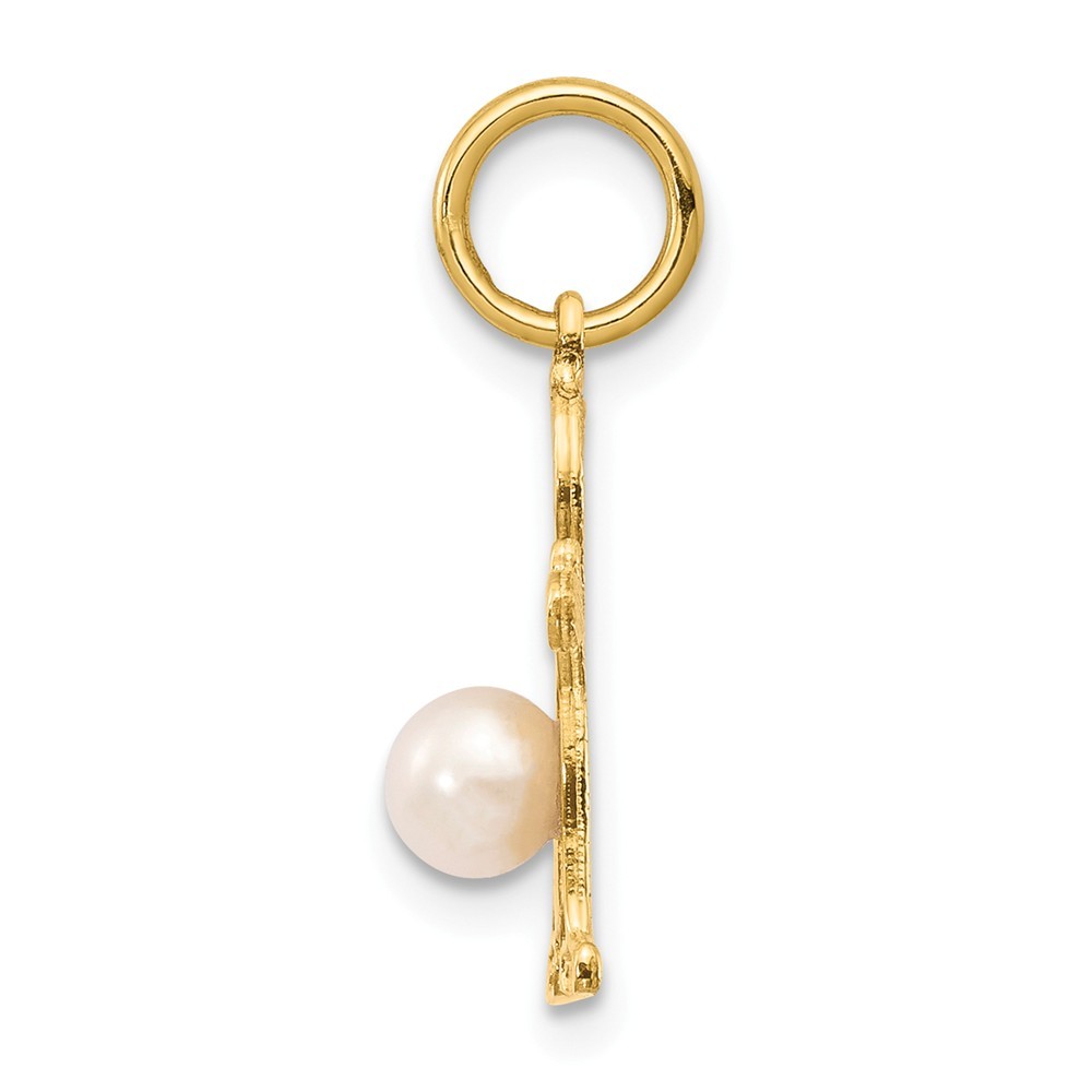 Jewelryweb 14k Yellow Gold Boy 6x4 Oval Freshwater Cultured Pearl June Birthstone Pendant - Measures 21x12mm Wide