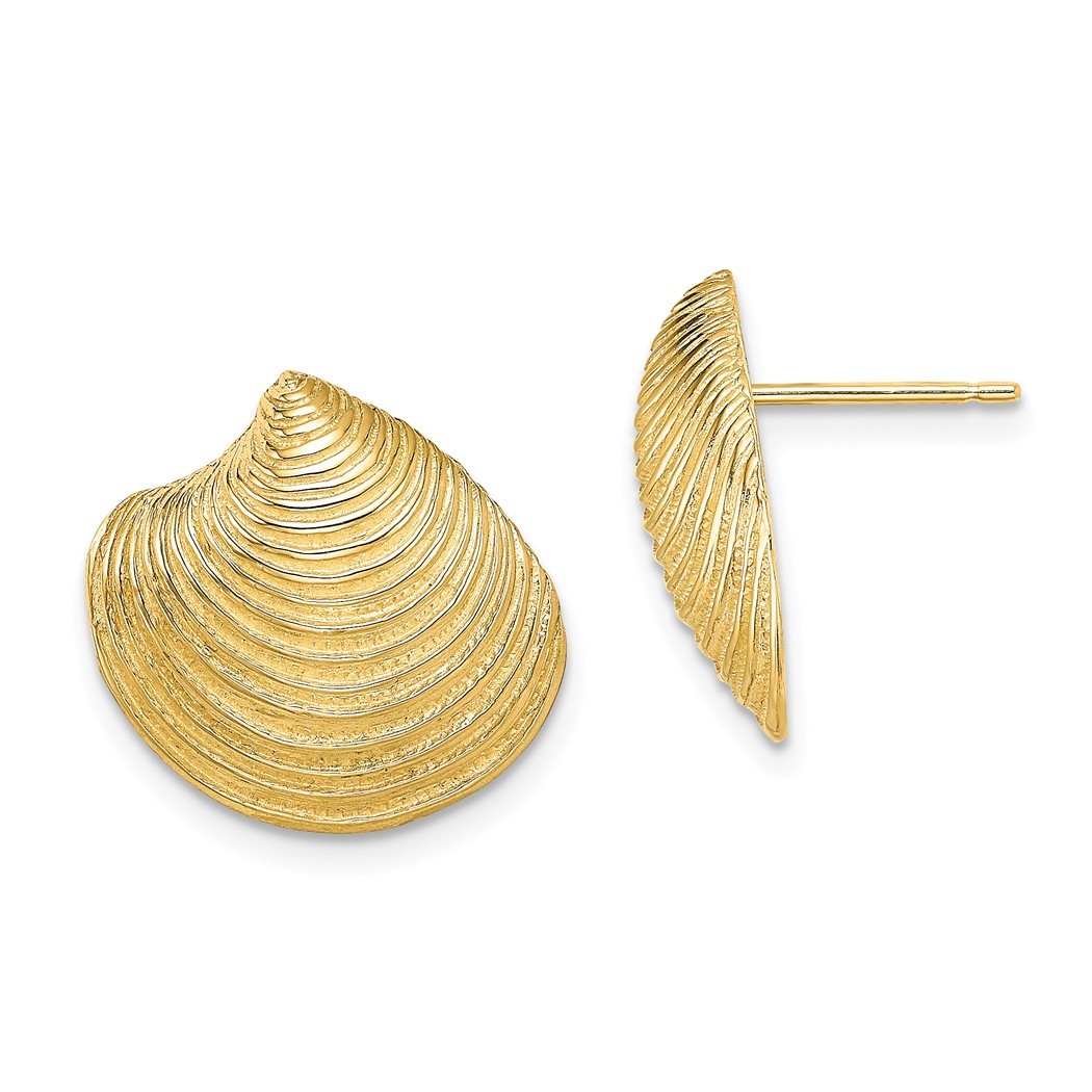 Jewelryweb 14k Gold Clam Shell Post Earrings 2-d / Textured and High Polish - Measures 16.05x16.8mm Wide