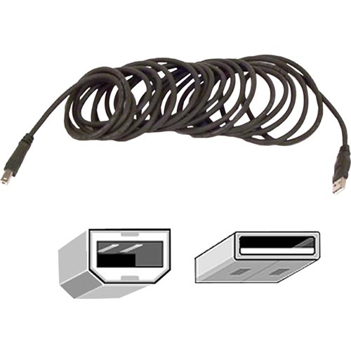 Belkin Pro F3u133b10 Bkst Usb Extension Data Transfer Cable