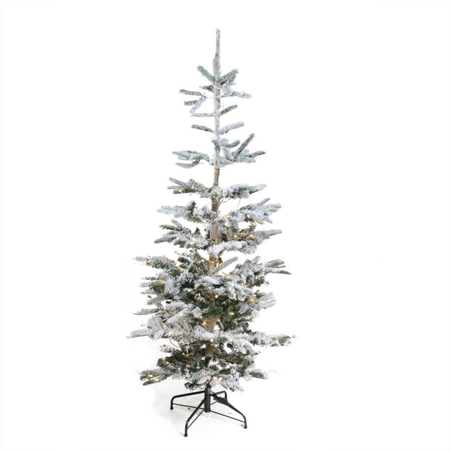 Northlight 65 Pre Lit Noble Fir Artificial Flocked Christmas Tree Northlight 65 Pre Lit Noble Fir Artificial Flocked Christmas Tree