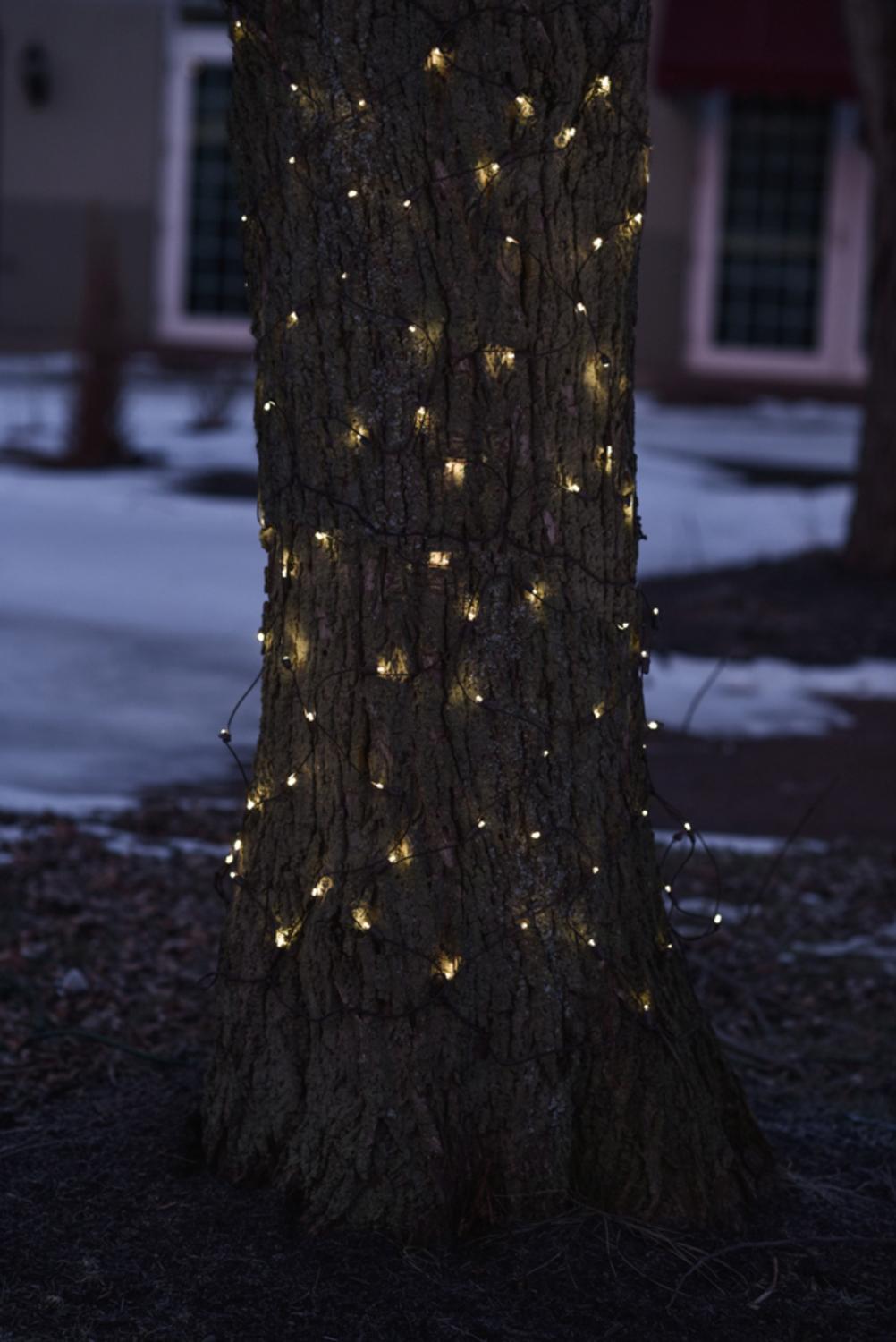 Northlight 2 X 8 Warm White Led Tree Trunk Wrap Christmas Net Northlight 2 X 8 Warm White Led Tree Trunk Wrap Christmas Net Lights Brown Wire