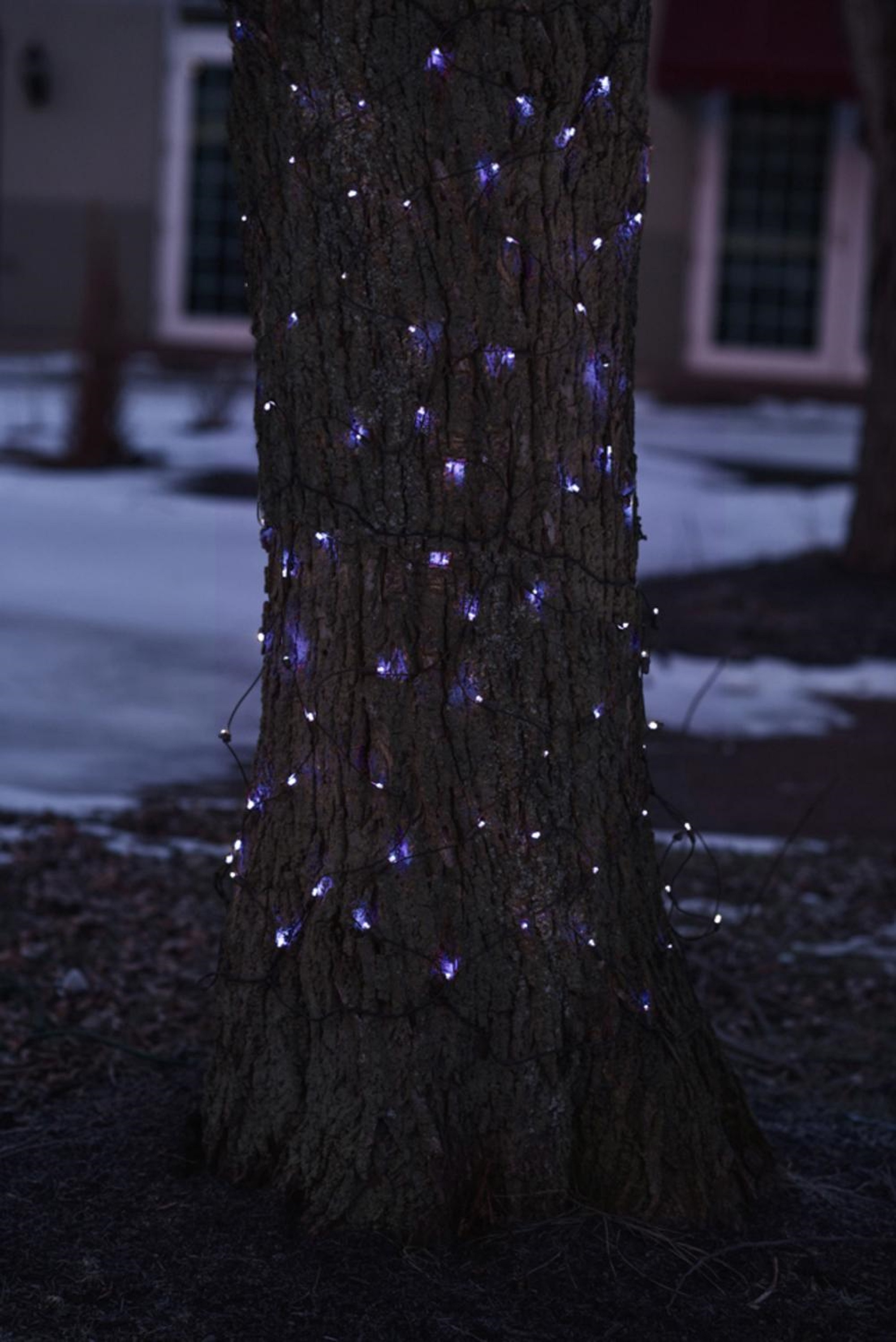 Northlight 2' x 8' Blue LED Tree Trunk Wrap Christmas Net Lights - Brown Wire