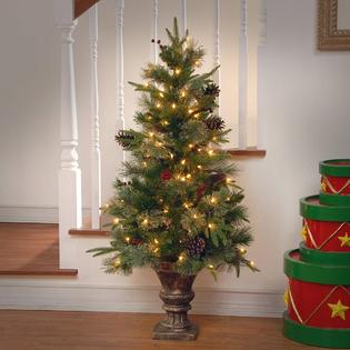 Cc Christmas Decor 4 Pre Lit Potted Colonial Entrance