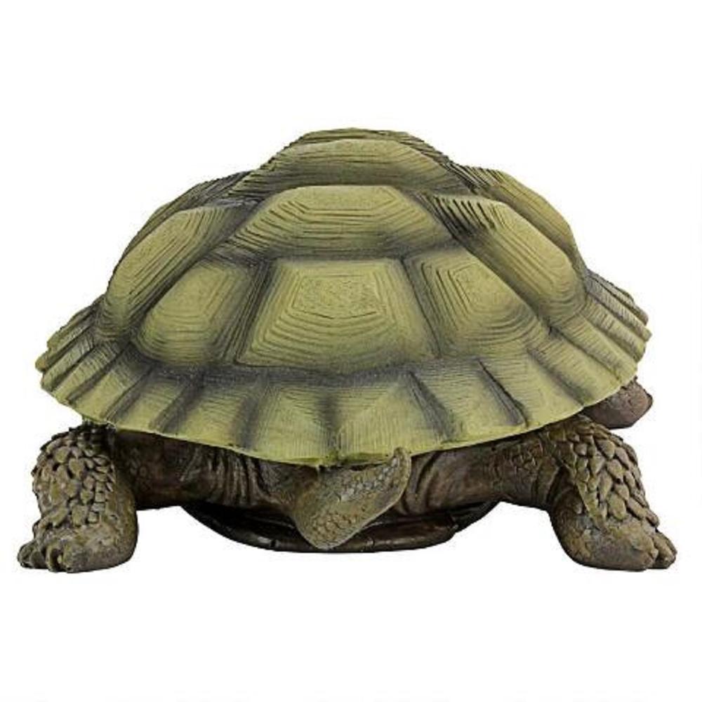 Outdoor Living and Style 9" Gilbert the Box Turtle Outdoor Garden Statue