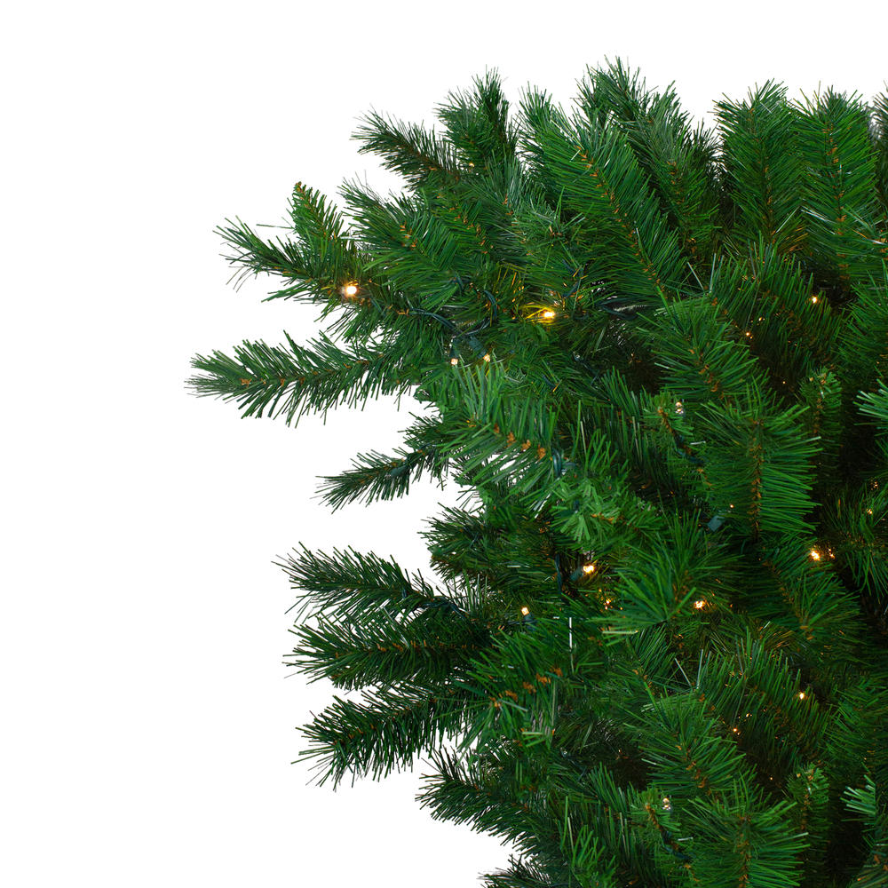 Northlight 7' Pre-Lit Green Sugar Pine Upside Down Artificial Christmas Tree - Clear Lights