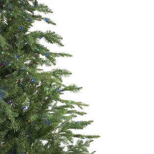 Northlight 7 5 Pre Lit Medium Ashland Sitka Spruce Artificial Christmas Tree Multicolor Led Lights Ashland 7.5 Pre Lit Christmas Tree