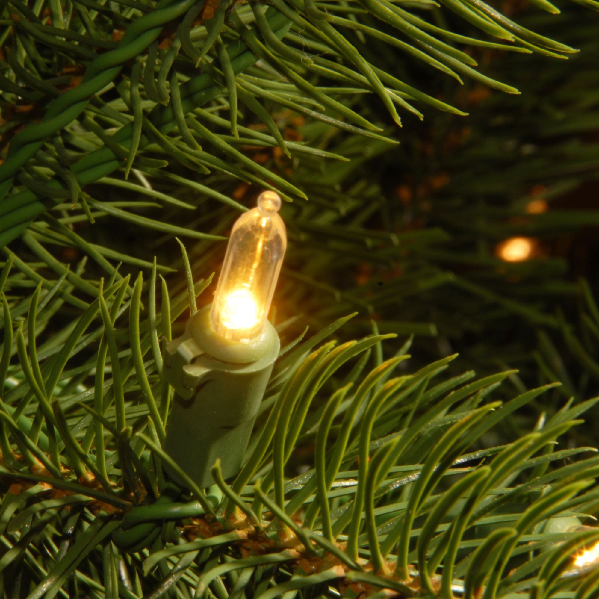 National Tree Company 6’ Pre-Lit Downswept Douglas Fir Artificial Christmas Tree, Clear Lights