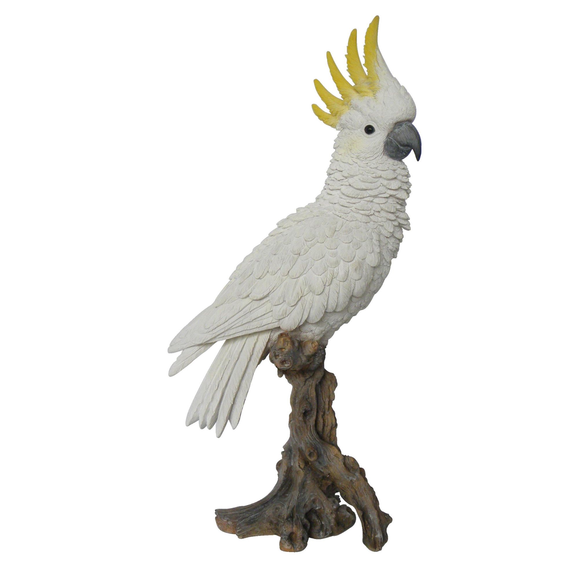 Hi-Line Gifts 15" White and Brown Cockatoo on Branch Statue