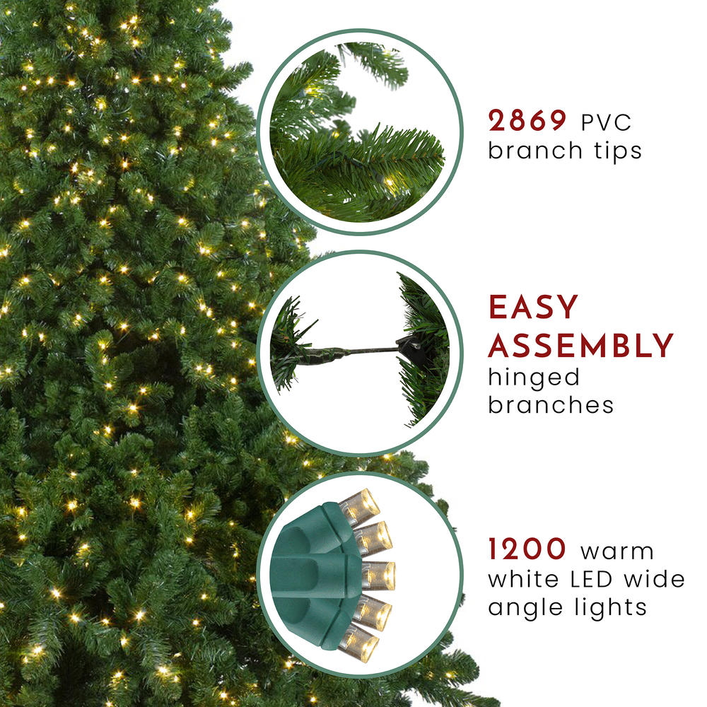 Northlight 9' Pre-Lit Full Olympia Pine Artificial Christmas Tree - Warm White Lights